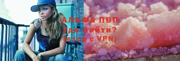 гашик Касимов