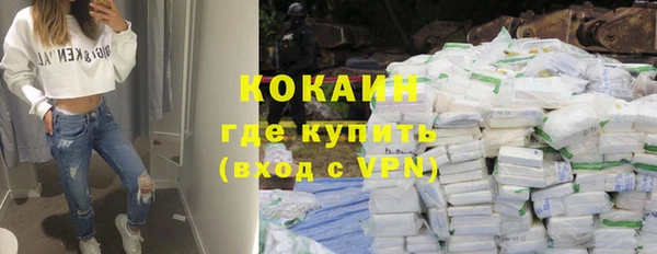 гашик Касимов