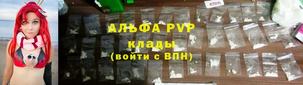 гашик Касимов