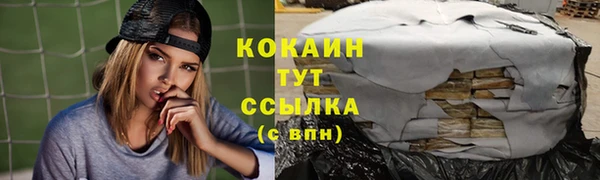 гашик Касимов