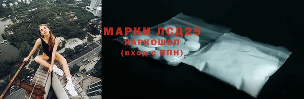 гашик Касимов
